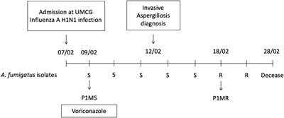 Revealing the Virulence Potential of Clinical and Environmental Aspergillus fumigatus Isolates Using Whole-Genome Sequencing